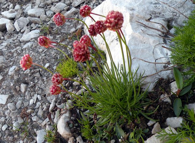 A zonzo sulle Dolomiti del Brenta 6